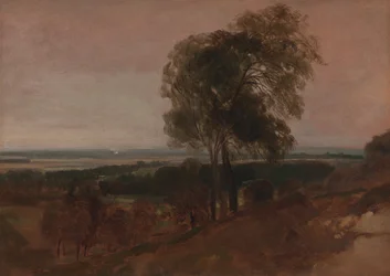Landscape study at sunset